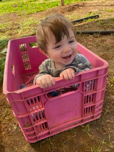 Nate, great grandson of George Schlesinger